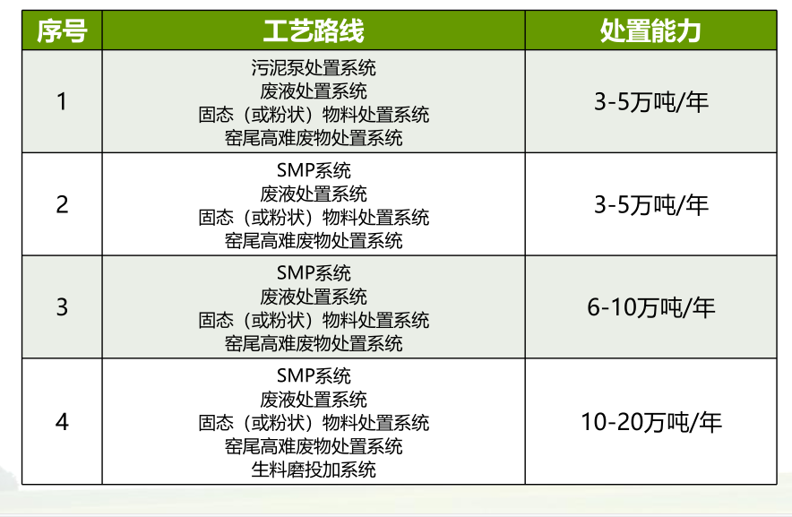 協(xié)同處置危廢部分工藝路線項目投資